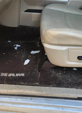 Before Car carpet cleaning