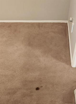 Before Carpet